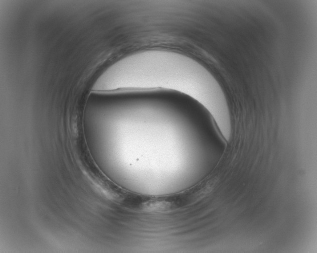 X0000082150452200702021639