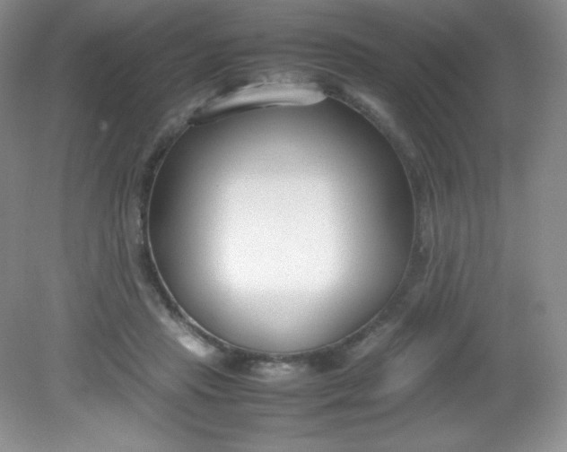 X0000082150453200702021639