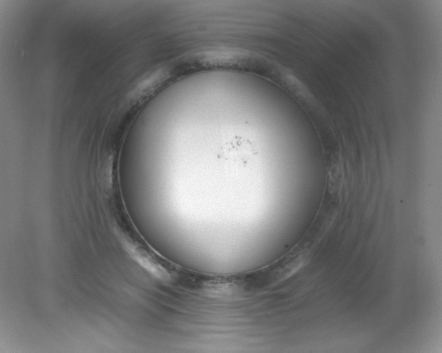 X0000082150454200702021639