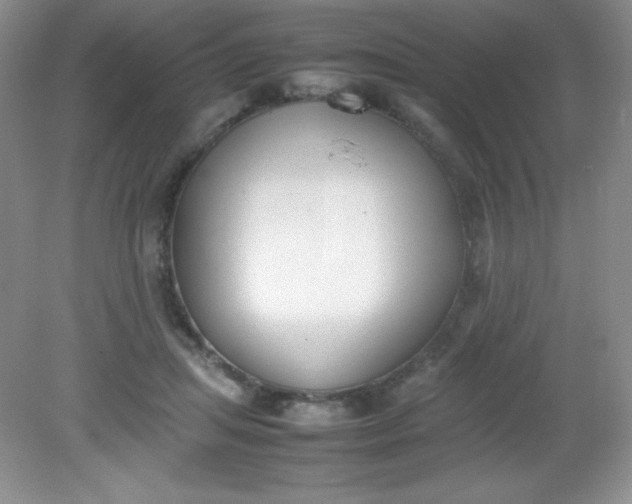 X0000082150455200702021639