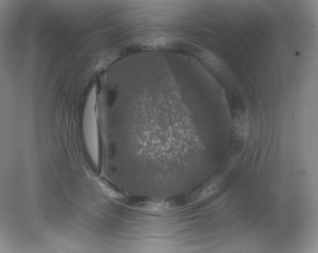 X0000082150458200702021639