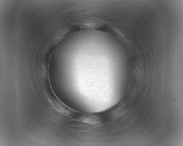 X0000082150459200702021639