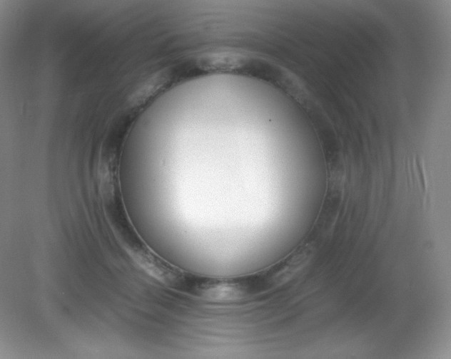 X0000082150460200702021639