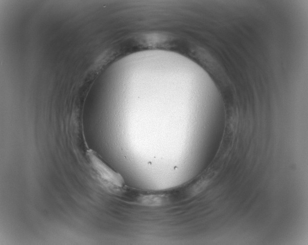 X0000082150461200702021639