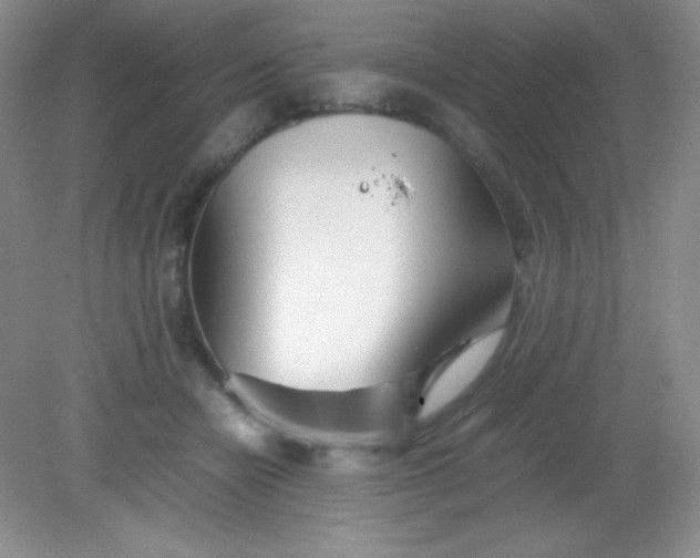 X0000082150462200702021639