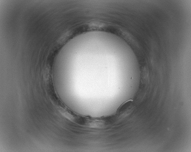 X0000082150463200702021639