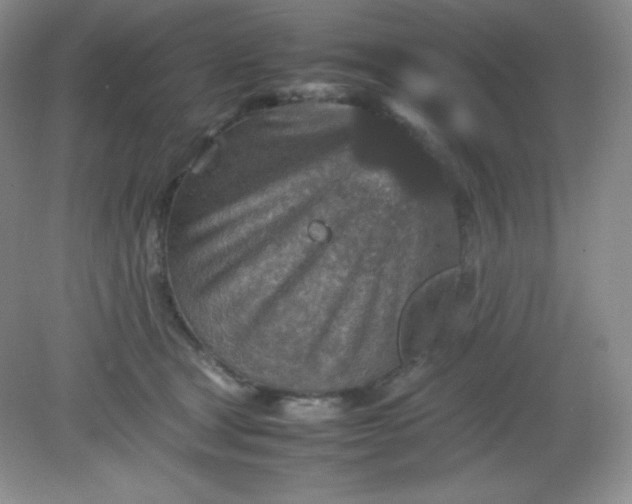 X0000082150465200702021639