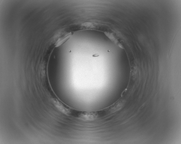 X0000082150466200702021639