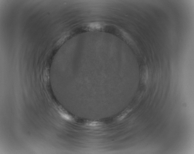 X0000082150467200702021639