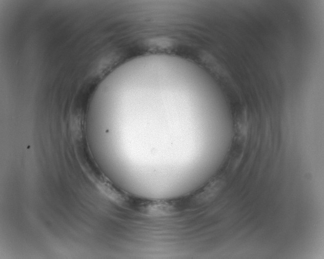 X0000082150468200702021639