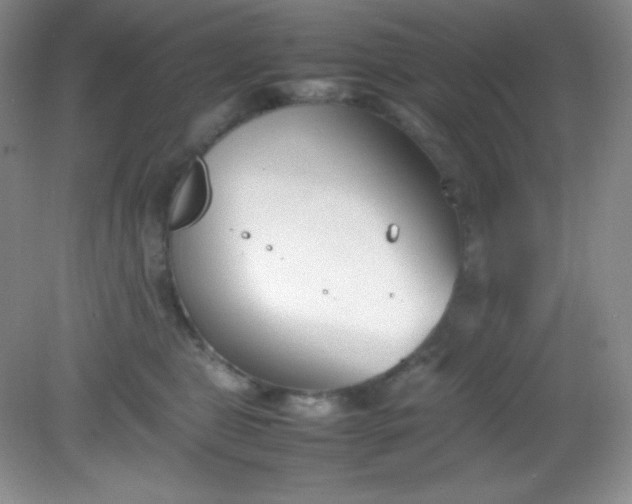 X0000082150469200702021639