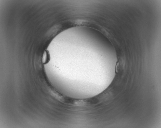 X0000082150470200702021639