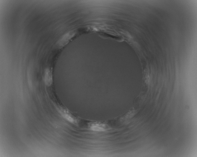 X0000082150471200702021639