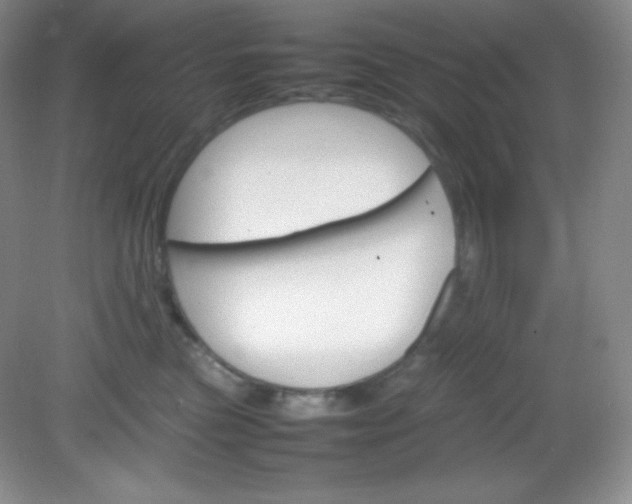 X0000082150473200702021639