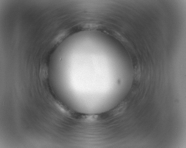 X0000082150474200702021639