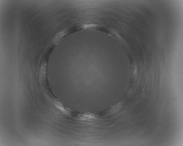 X0000082150475200702021640