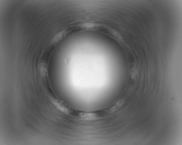 X0000082150476200702021640