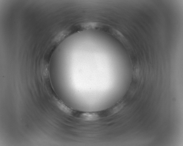 X0000082150477200702021640