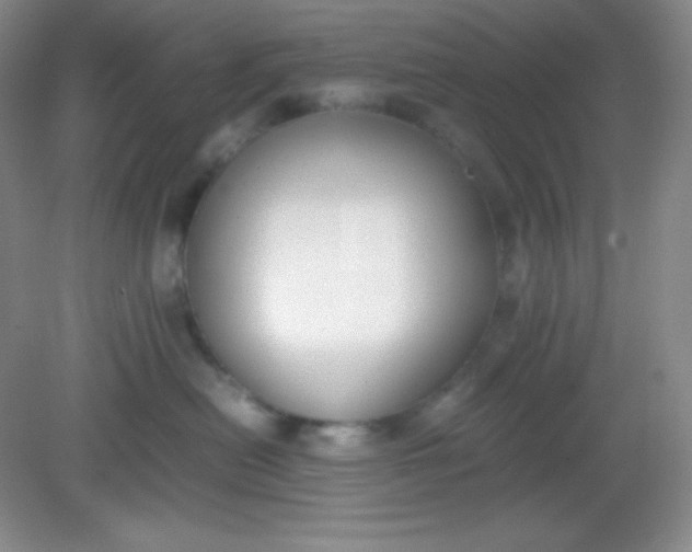 X0000082150478200702021640