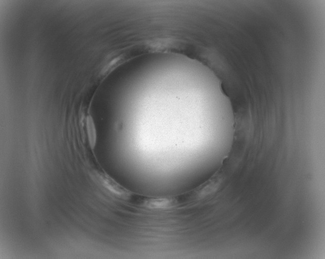 X0000082150479200702021640