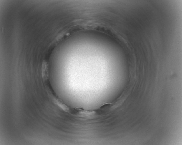 X0000082150480200702021640