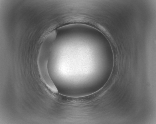 X0000082150481200702021639