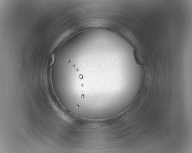 X0000082150482200702021639