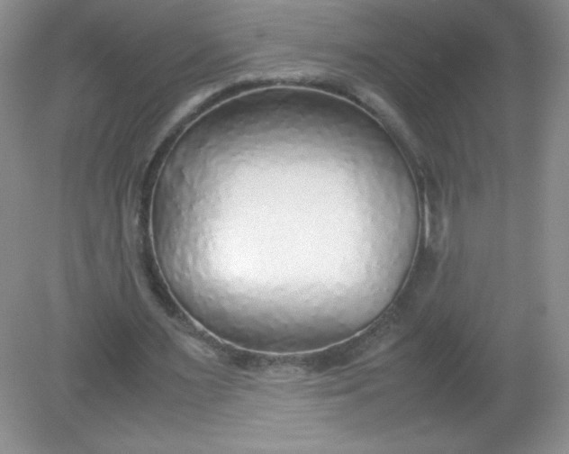 X0000082150483200702021639