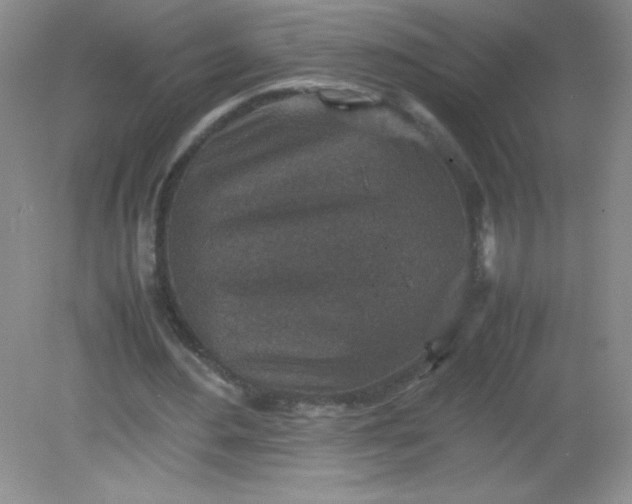 X0000082150484200702021639