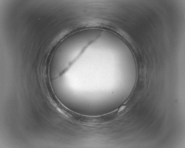 X0000082150485200702021639