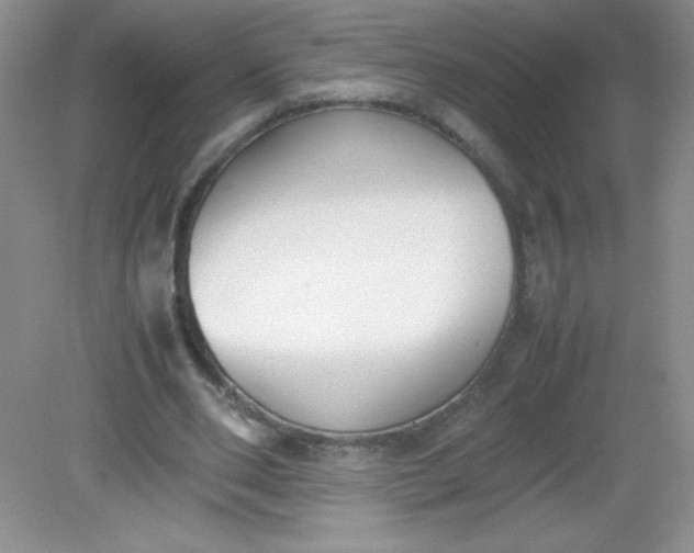 X0000082150486200702021639