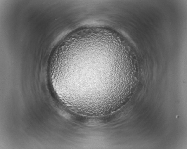 X0000082150487200702021639