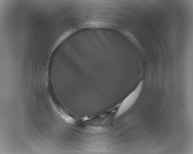 X0000082150488200702021639