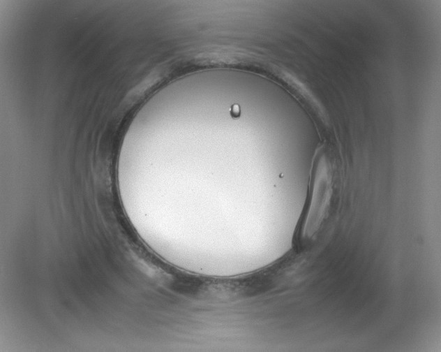 X0000082150489200702021639