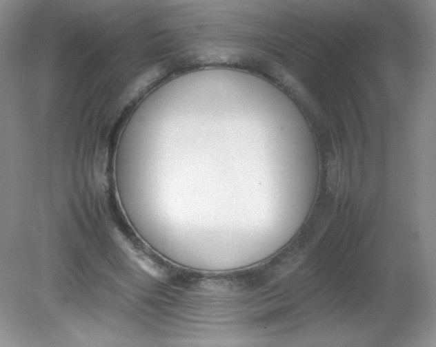 X0000082150490200702021639