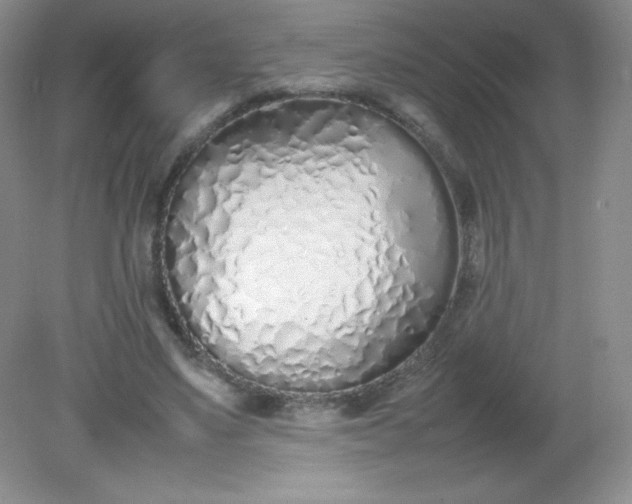 X0000082150491200702021639