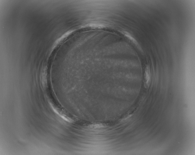 X0000082150492200702021639