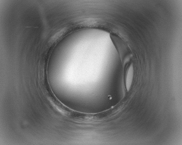 X0000082150493200702021639