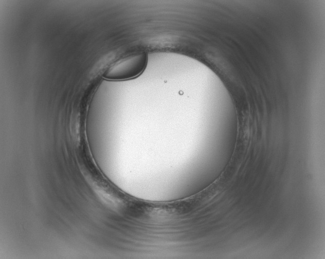 X0000082150494200702021639