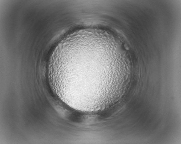 X0000082150495200702021639