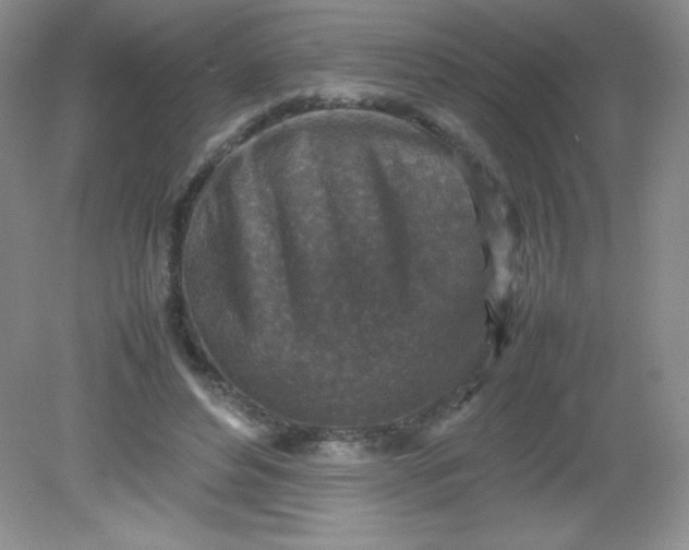 X0000082150496200702021639