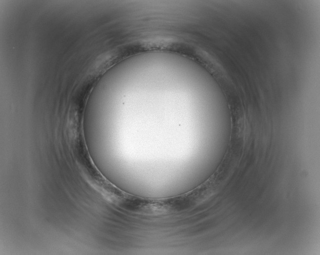 X0000082150498200702021638