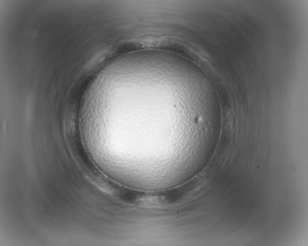 X0000082150499200702021638