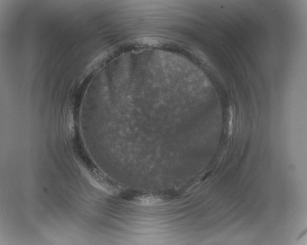 X0000082150500200702021638