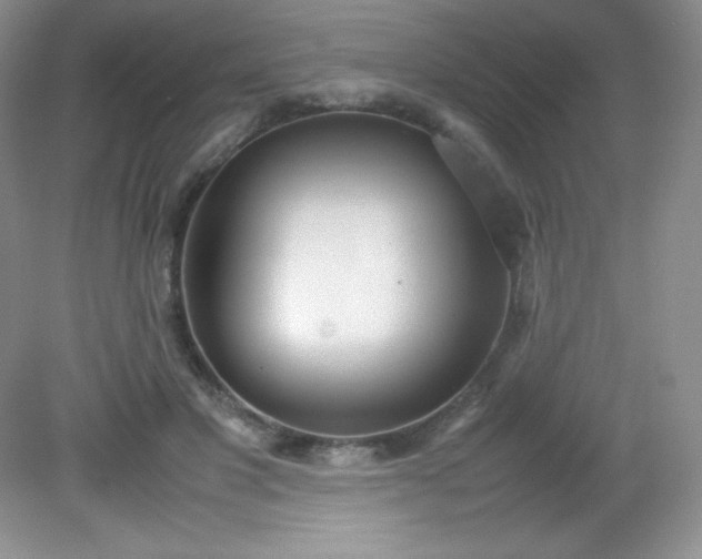 X0000082150501200702021638