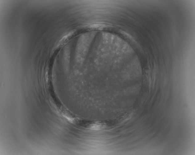 X0000082150504200702021638