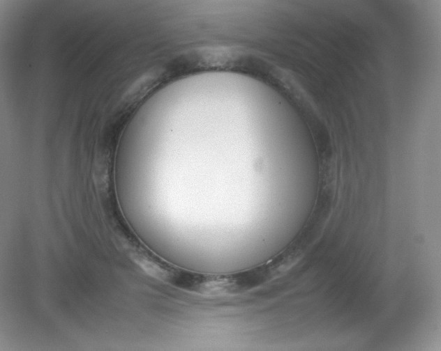 X0000082150505200702021638