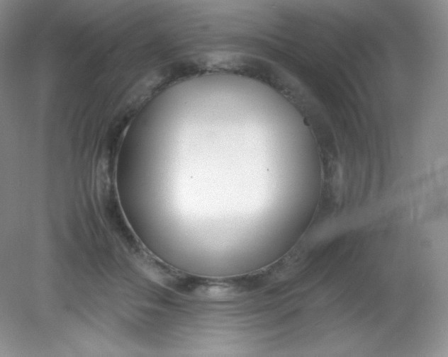 X0000082150506200702021638