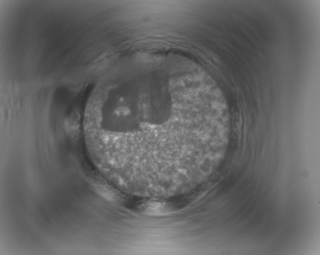 X0000082150507200702021638