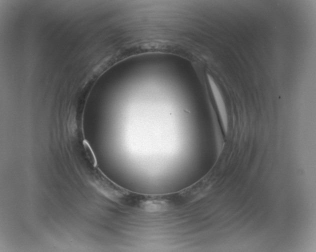 X0000082150508200702021638